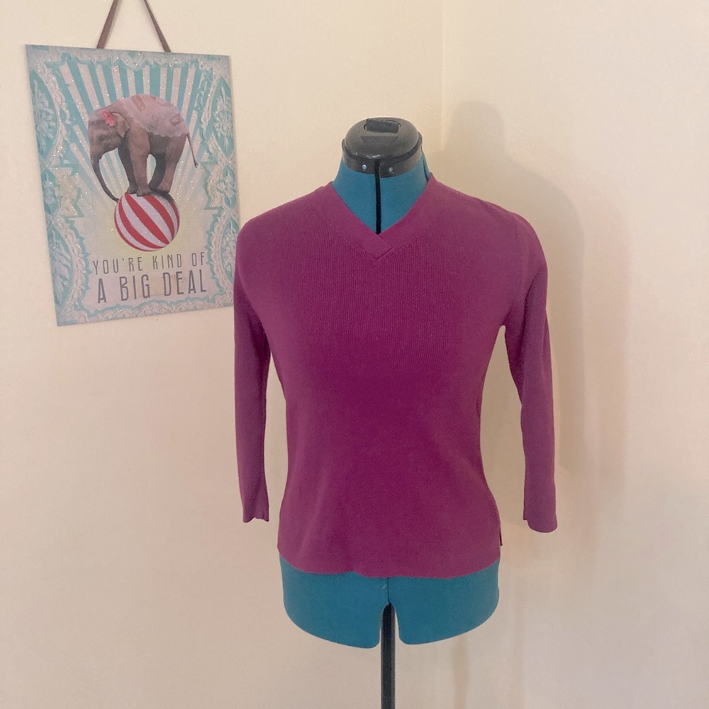 Cotton v-neck sweater from banana republic